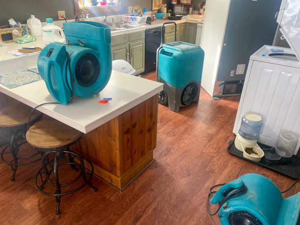 Best Mold removal after water damage  in Union City, PA
