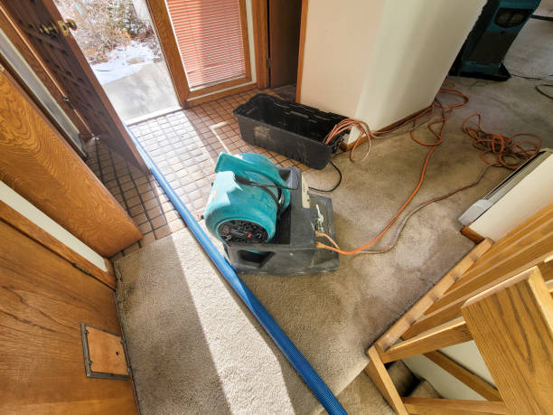 Best Basement water damage restoration  in Union City, PA