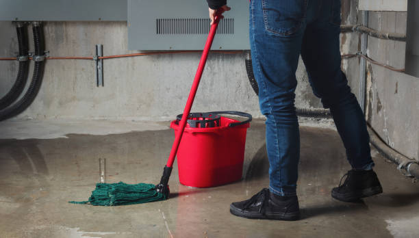 Best Sewage cleanup and water damage restoration  in Union City, PA