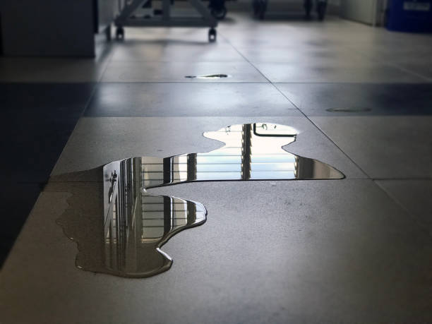 Best Water damage restoration near me  in Union City, PA